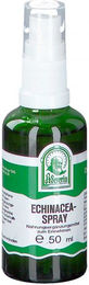 Hecht Pharma Echinacea Spray 50 ml – Bild 1 von 2