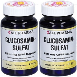 Hecht Pharma Glucosaminsulfat 250 mg Kapseln mit pflanzlichem Ursprung – Bild 1 von 1