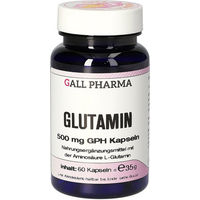 Produktbild von Hecht Pharma L-Glutamin 500 mg Kapseln glutenfrei und laktosefrei 60 Stück