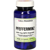 Produktbild von Hecht Pharma Pfefferminz 450 mg Kapseln 90 Stück glutenfrei laktosefrei hefefrei