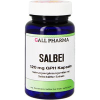 Produktbild von Hecht Pharma Salbei 120 mg GPH Kapseln