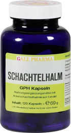 Hecht Pharma Schachtelhalm Kapseln mit Kieselerde für Erwachsene 120 Stück glutenfrei laktosefrei hefefrei ohne Zusatzstoffe – Bild 1 von 2