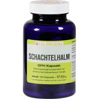 Produktbild von Hecht Pharma Schachtelhalm Kapseln mit Kieselerde für Erwachsene 120 Stück glutenfrei laktosefrei hefefrei ohne Zusatzstoffe