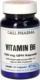 Hecht Pharma Vitamin B6 100 mg Kapseln 60 Stück – Bild 1 von 1