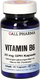 Hecht Pharma Vitamin B6 25 mg Kapseln 90 Stück – Bild 1 von 1