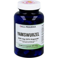 Produktbild von Hecht Pharma Yamswurzel 500 mg Kapseln 120 Stück