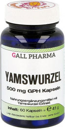 Hecht Pharma Yamswurzel 500 mg Kapseln 60 Stück – Bild 1 von 2