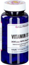 Hecht Vitamin B12 300 µg Kapseln für Erwachsene 120 Stück – Bild 1 von 3