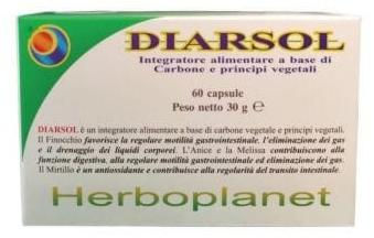 Herb Diarsol Kapseln vegan und glutenfrei 60 Stück – Bild 1 von 1
