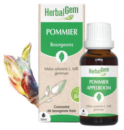 Herbalgem Apfelknospenextrakt Bio Flüssig 30 ml – Bild 1 von 1