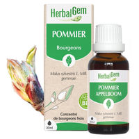 Produktbild von Herbalgem Apfelknospenextrakt Bio Flüssig 30 ml