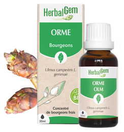 Herbalgem Birkenknospenextrakt Flüssig 30 ml – Bild 1 von 1