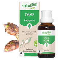 Produktbild von Herbalgem Birkenknospenextrakt Flüssig 30 ml