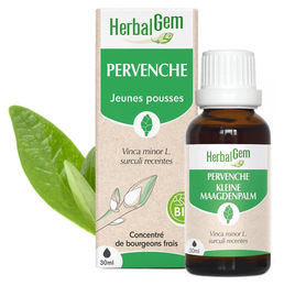 Herbalgem Efeu-Triebextrakt Flüssig 30 ml – Bild 1 von 1