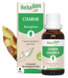 Herbalgem Esche Knospenextrakt 30 ml Flüssig – Bild 1 von 1