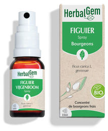 Herbalgem Feigenknospen-Spray Bio 15 ml – Bild 1 von 2