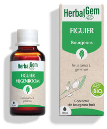 Herbalgem Figentriebextrakt Bio Tropfen 30 ml – Bild 1 von 1