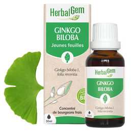 Herbalgem Ginkgo Biloba Knospensaft Bio 30 ml – Bild 1 von 1