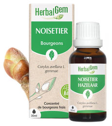Herbalgem Haselnussknospen Extra Qualität 30 ml Flüssig – Bild 1 von 1