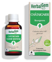 Herbalgem Kastanienknospen Extrakt Bio Flüssig 30 ml – Bild 1 von 1