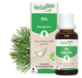 Herbalgem Kiefernknospenextrakt Flüssig 30 ml – Bild 1 von 1