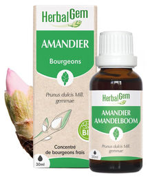Herbalgem Mandelpflanzenknospen Extra Qualität 30 ml Flüssig – Bild 1 von 1