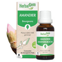 Produktbild von Herbalgem Mandelpflanzenknospen Extra Qualität 30 ml Flüssig