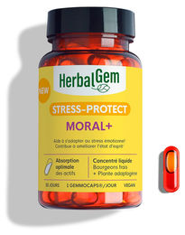 Herbalgem Moral+ Kräuter-Komplex Vegan Bio Pflanzlicher Ursprung 30 Kapseln – Bild 1 von 3