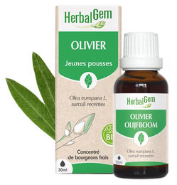 Herbalgem Olivenknospen Extra Qualität 30 ml Flüssig – Bild 1 von 1