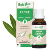 Produktbild von Herbalgem Olivenknospen Extra Qualität 30 ml Flüssig