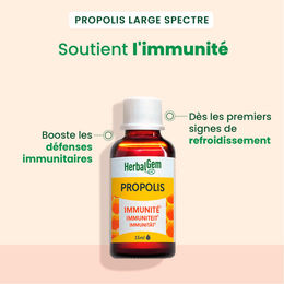 Herbalgem Propolis-Tropfen 15 ml – Bild 1 von 1