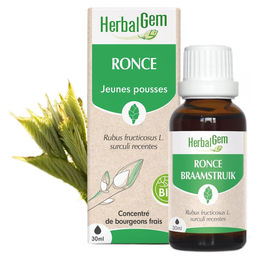 Herbalgem Ronzenknospen Tropfen 30 ml – Bild 1 von 1