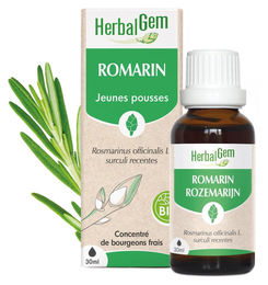 Herbalgem Rosmarin-Knospensaft Bio 30 ml – Bild 1 von 1
