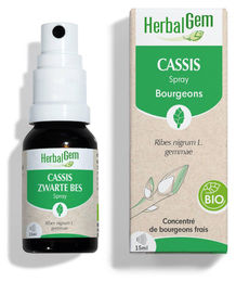 Herbalgem Schwarzer Johannisbeerknospenextrakt Bio Spray 15 ml – Bild 1 von 2