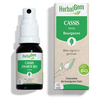 Produktbild von Herbalgem Schwarzer Johannisbeerknospenextrakt Bio Spray 15 ml