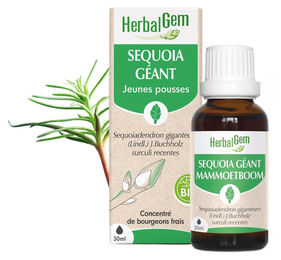Herbalgem Sequoia-Knospensaft 30 ml – Bild 1 von 1