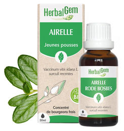 Herbalgem Spross der Preiselbeere Tropfen 30 ml pflanzlicher Ursprung – Bild 1 von 2