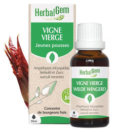 Herbalgem Trieb des wilden Weins Flüssig 30 ml – Bild 1 von 1