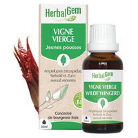 Produktbild von Herbalgem Trieb des wilden Weins Flüssig 30 ml