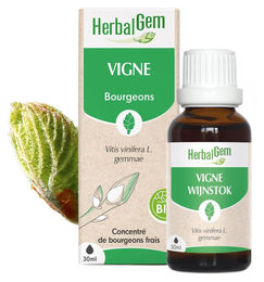 Herbalgem Triebschössling der Weinrebe 30 ml Flüssig – Bild 1 von 1
