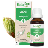 Produktbild von Herbalgem Triebschössling der Weinrebe 30 ml Flüssig