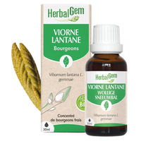 Produktbild von Herbalgem Viorne Triebextrakt Mehlbeere Tropfen 30 ml