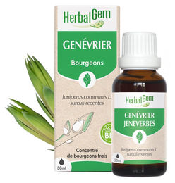 Herbalgem Wacholderknospenextrakt Flüssig 30 ml – Bild 1 von 1