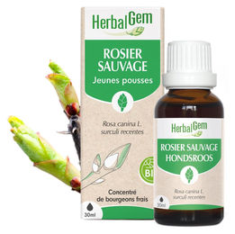 Herbalgem Wildrosenknospen Hagebutte Flüssig 30 ml – Bild 1 von 1
