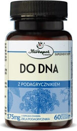 Herbapol Do Dna Kräuter-Komplex mit gemahlenem Holunder 60 Kapseln – Bild 1 von 1