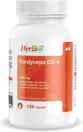 HerbBio Cordyceps CS-4 Kapseln Vegan 120 Stück – Bild 1 von 1