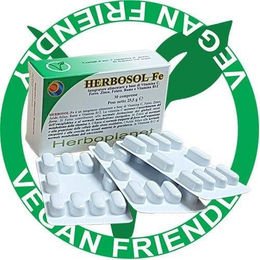 Herboplanet HERBOSOL FE Eisen Tabletten 30 Stück – Bild 1 von 1