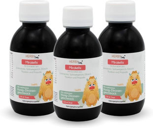 Herby Family Mirakelix Kräuter-Komplex Sirup vegan für Kinder 450 ml – Bild 1 von 1
