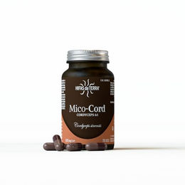 HIFAS DA TERRA Mico-Cord Cordyceps Sinensis Pilzextrakt Hochdosiert 6:1 Vegan 70 Kapseln – Bild 1 von 1
