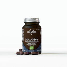 HIFAS DA TERRA Mico-Five Pilz Komplex mit Reishi, Maitake, Shiitake, Sonnenpilz und Chaga hochdosiert 12:1 vegan 70 Kapseln – Bild 1 von 1